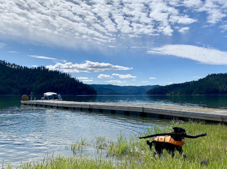 Dworshak State Park, Idaho, USA